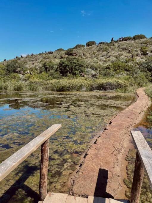 Heron Cottage - Living The Breede Malgas エクステリア 写真